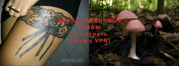 jwh Богородск