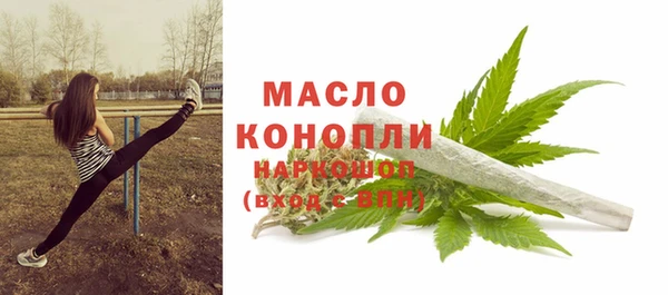 дживик Богородицк