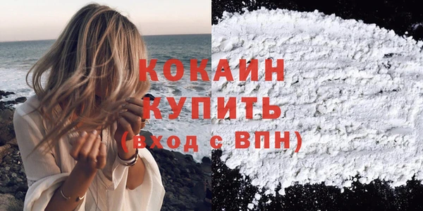 дживик Богородицк