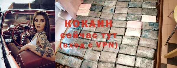 дживик Богородицк