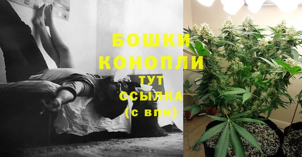 мяу мяу мука Богданович