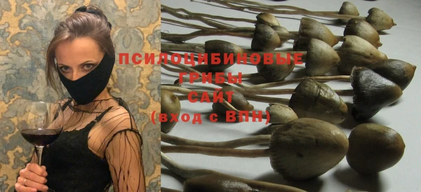 хмурый Белоозёрский