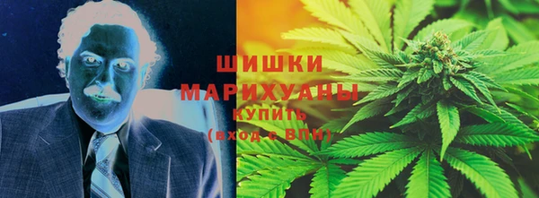 дживик Богородицк