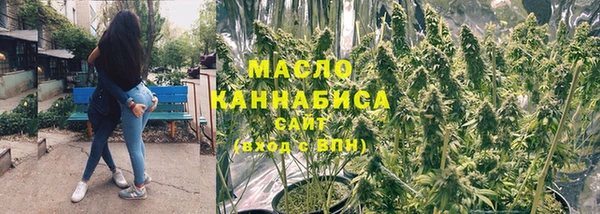 дживик Богородицк